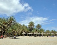 Crete Island - Vai beach